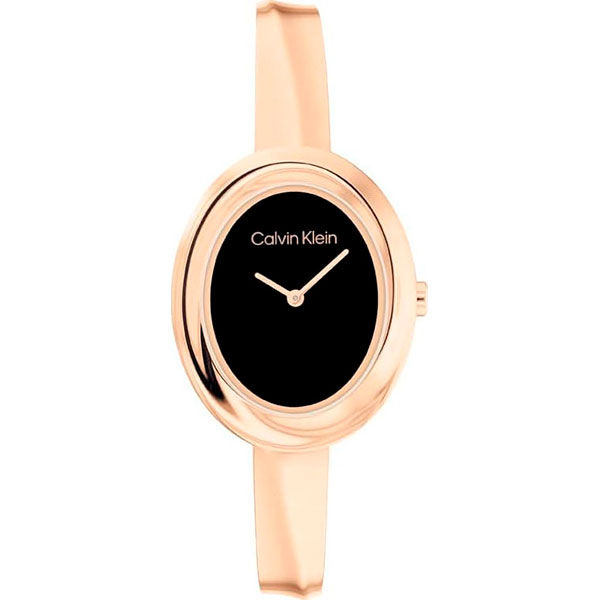 Часы Calvin Klein Twisted 25100057
